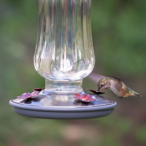 Perky-Pet Clear Starglow Vintage Glass Hummingbird Feeder - 16 oz