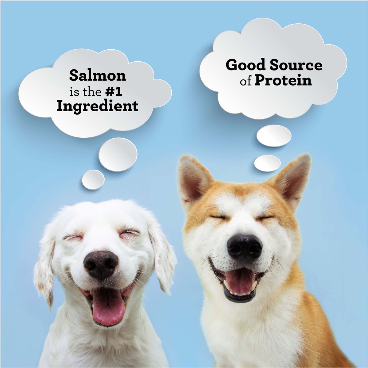 SmartBones Protein Rings Real Salmon and Chickpeas Dog Treats