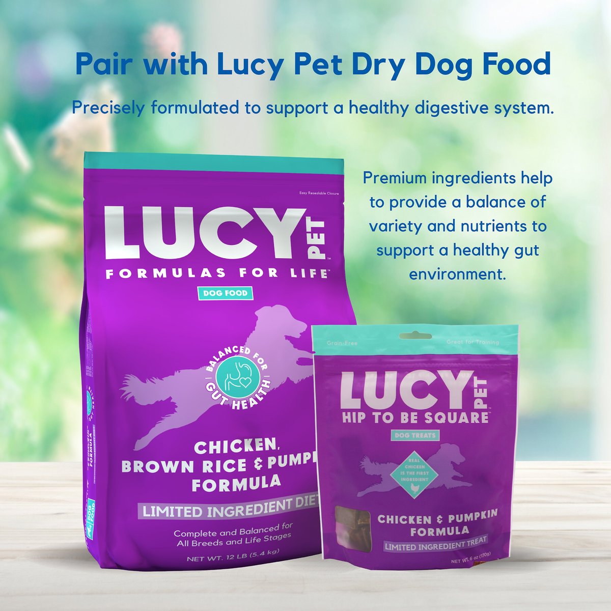 Lucy Pet Products Hip To Be Square Chicken and Pumpkin Formula Grain-Free Dog Treats