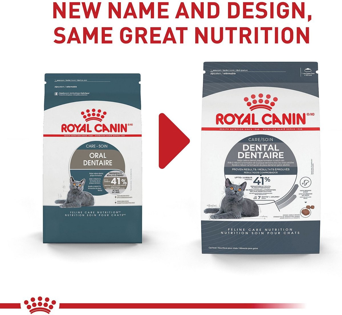 Royal Canin Feline Care Nutrition Dental Care Dry Cat Food