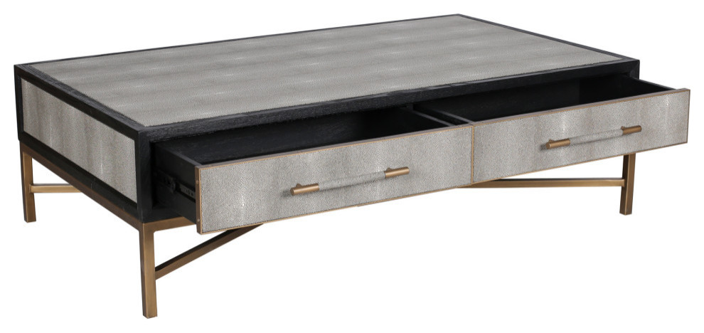 Mako Coffee Table   Contemporary   Coffee Tables   by HedgeApple  Houzz