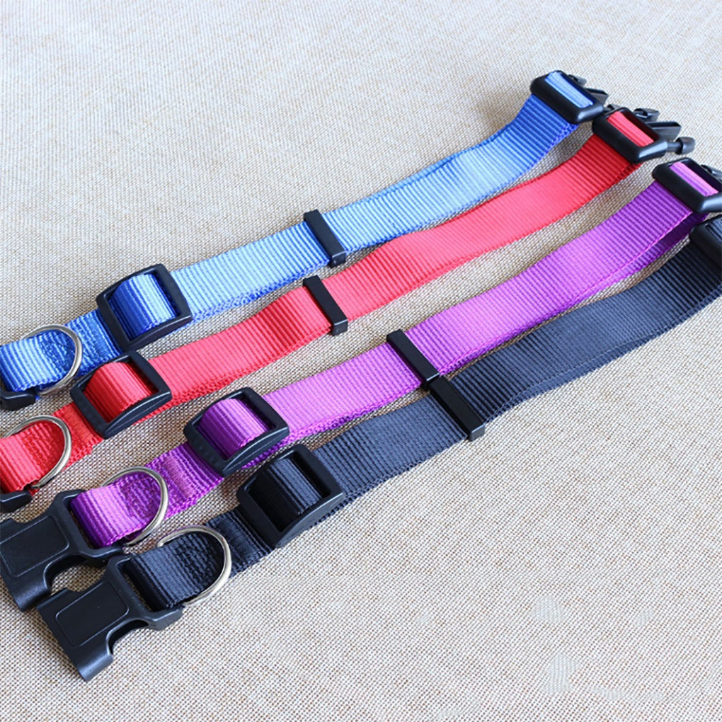 Solid Color Personalized Pet Leash Anti\-Lost/Avoid Car For Small Medium Large Dogs Supplies Pet Products