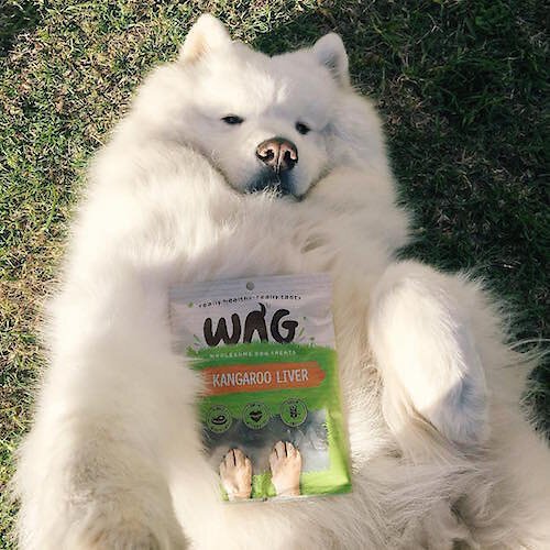 WAG Kangaroo Liver Grain-Free Dog Treats