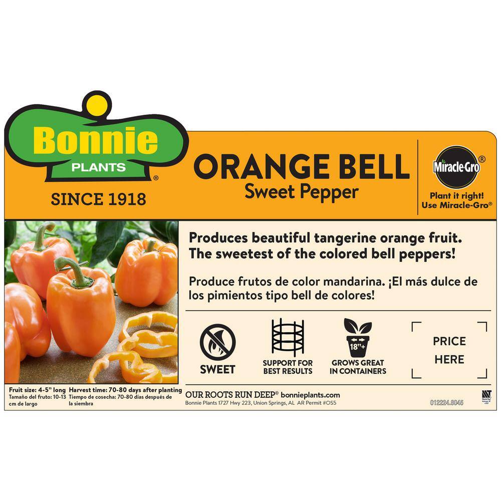 Bonnie Plants 19 oz. Orange Bell Pepper Plant 2105