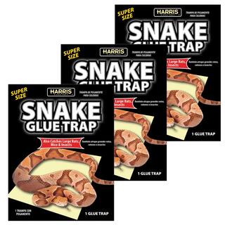 Harris Snake Glue Trap Super Size (3-Pack) 3SNAKE-1