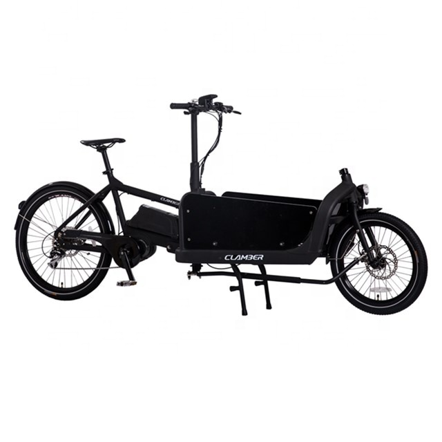 new design adult Electric Cycle  Electric pets bicycle longtails cargo bike