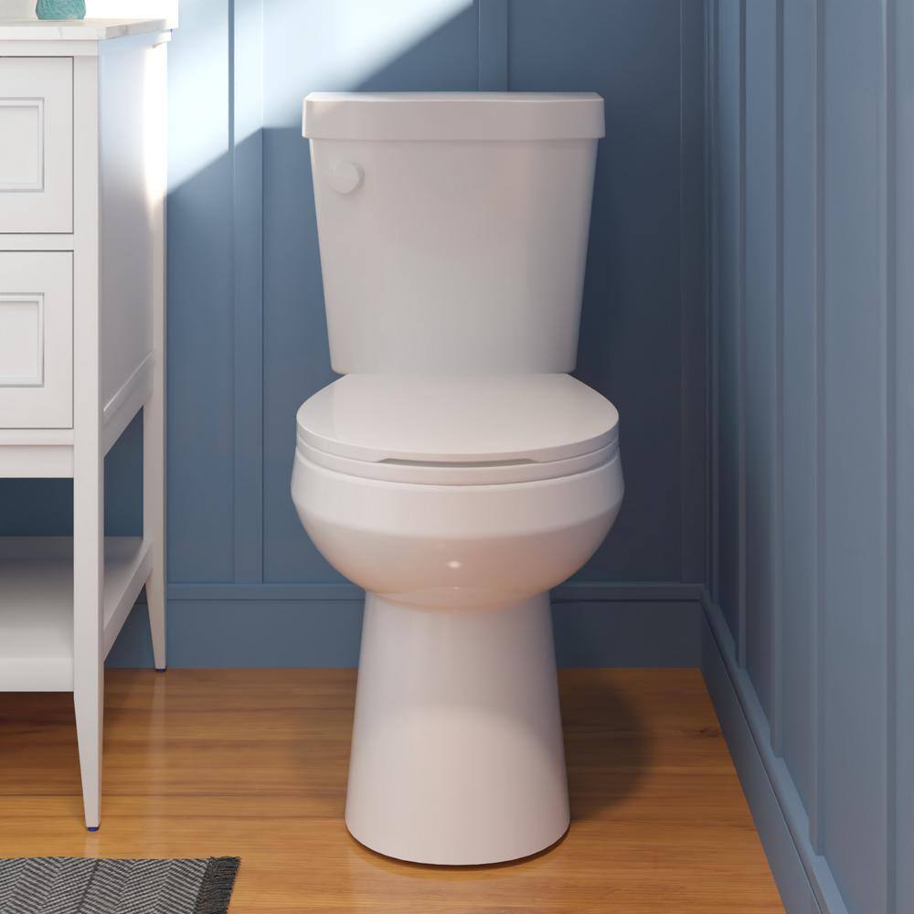 DEERVALLEY Single flush 10 in. Rough-In 2-Piece Round 1.6 GPF Toilet Map Flush 1000g Soft Closed Seat Included DV-2F0077