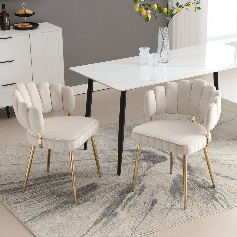 HOMEFUN Velvet Upholstered Scallop Single Side Dining Chair With Golden Legs（set of 2）