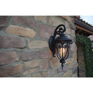 Hailee 1-Light Matte Black Outdoor Wall Lantern Sconce EL591SBL