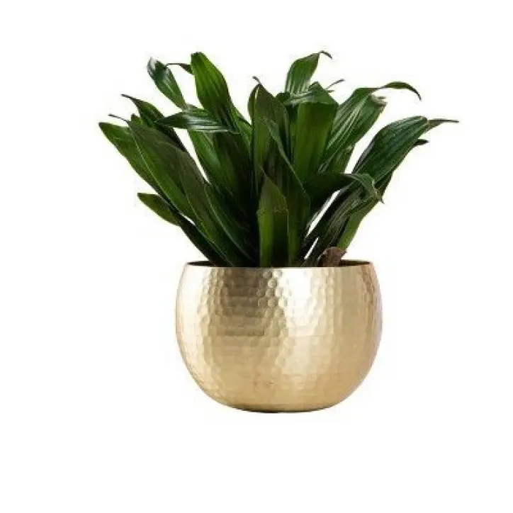 Home Interior Design Rounded Copper Metal Planter Home Indoor Outdoor Garden Usage Customized Size Metal Planter