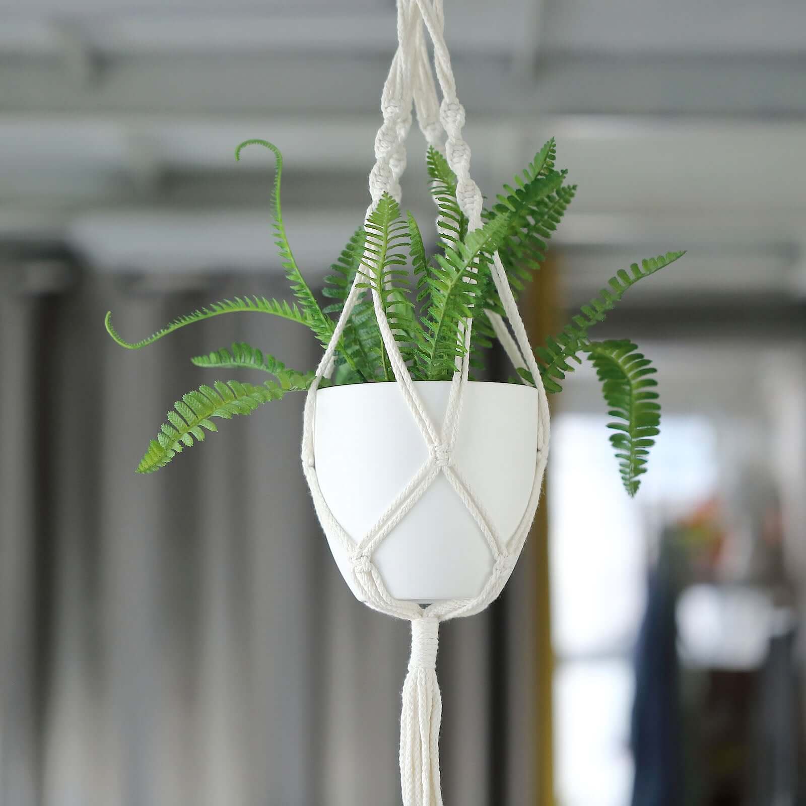 2 Pack Ivory Macrame Indoor Hanging Planter Basket Cotton Ropes, Decorative Flower Pot Holder With Tassel, Boho Chic Home Decor