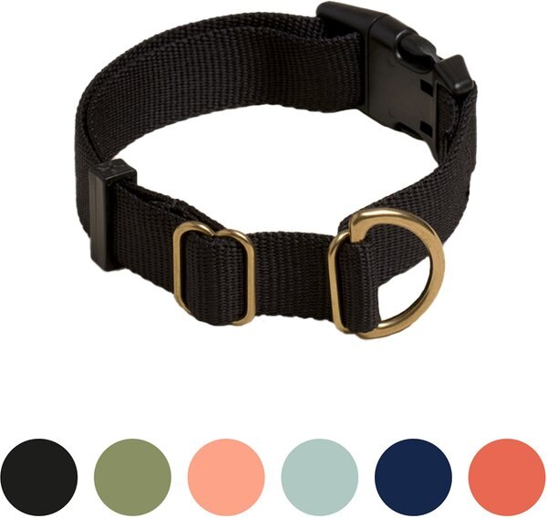 Awoo Pack Standard Dog Collar