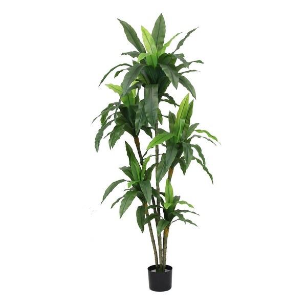 The Mod Greenhouse Artificial Dracaena Plant in Black Matte Planter's Pot