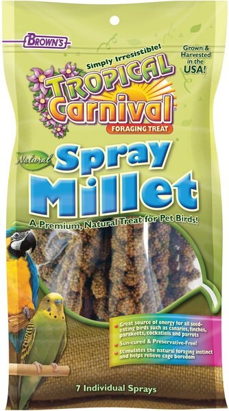 Brown's Tropical Carnival Natural Spray Millet Bird Treats