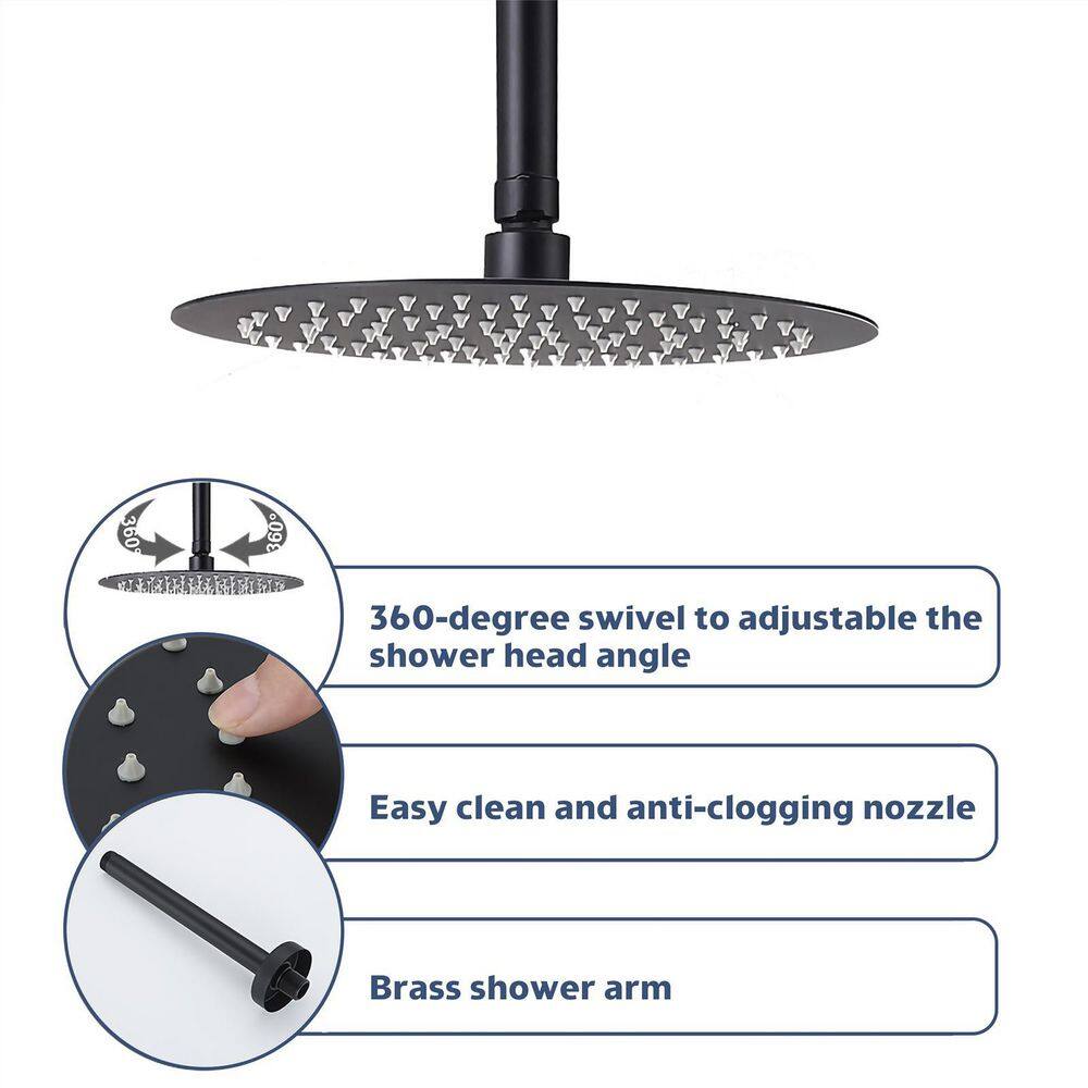 HOMLUX 2-Spray Patterns 10 in. Ceiling Mount Dual Shower Heads with Rough-In Valve in Matte Black AZLS10QDD