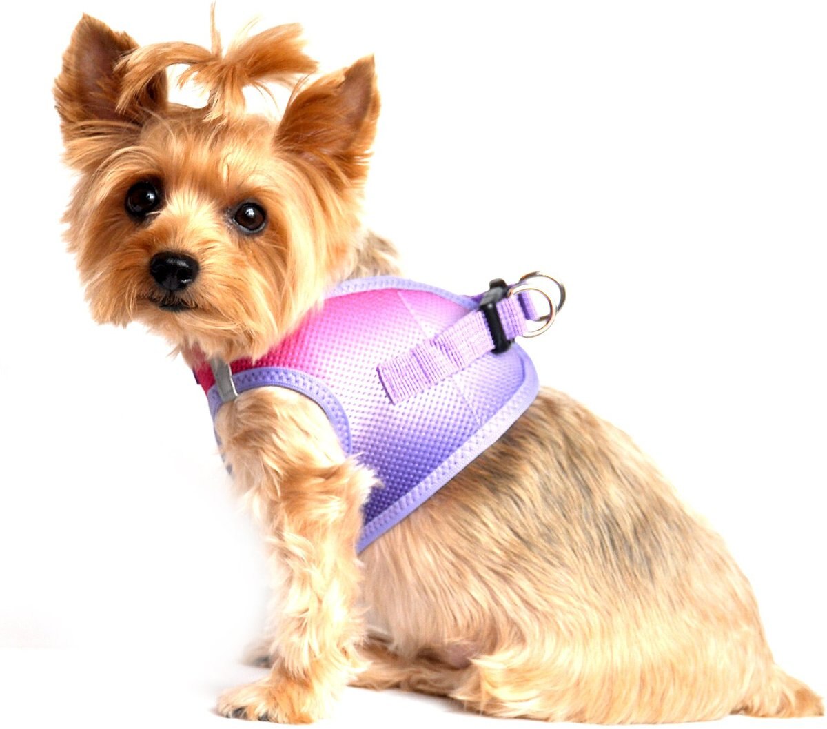 Doggie Design American River Ombre Nylon Reflective Back Clip Dog Harness