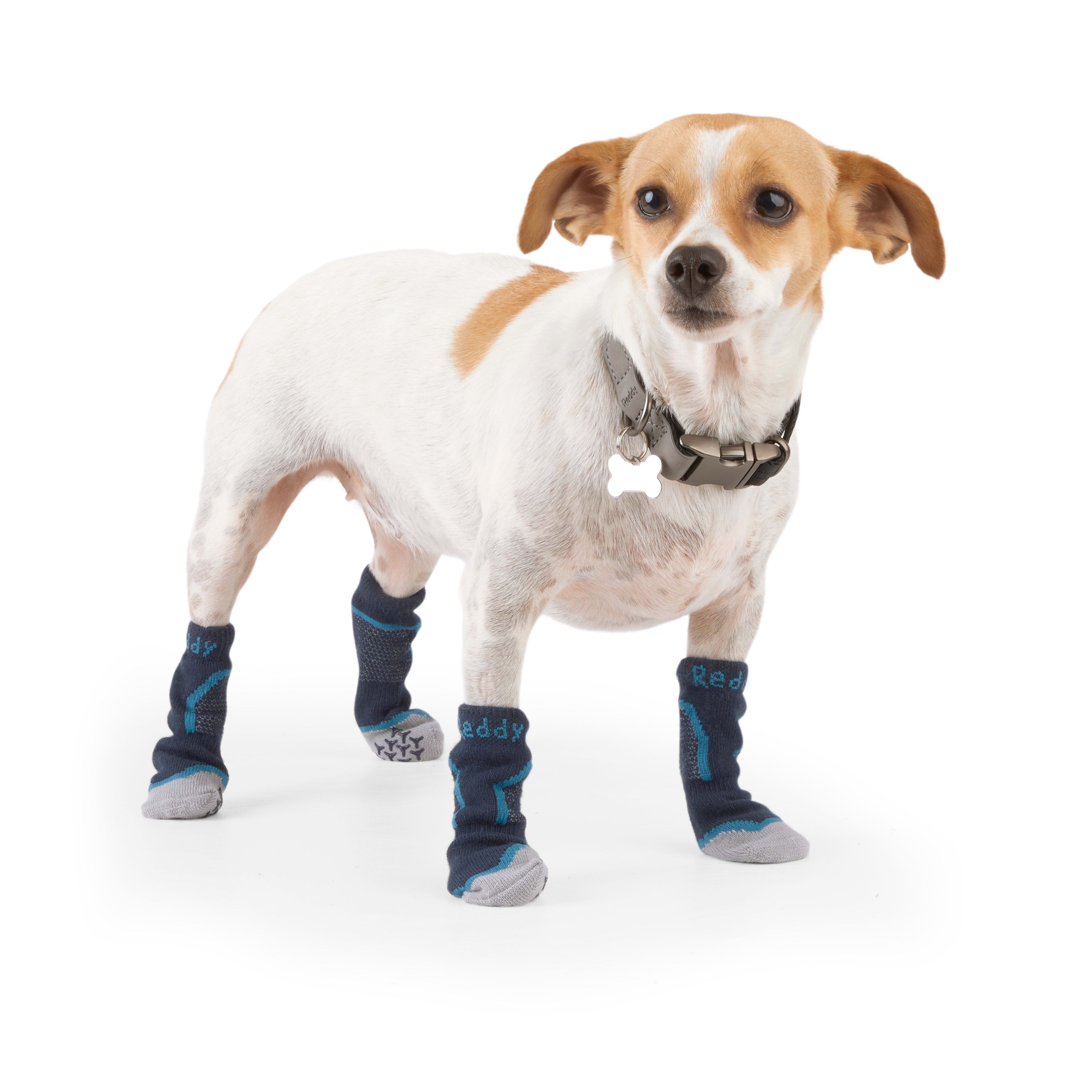 Reddy Navy Seamless Boot Sock for Dogs， X-Small/Small