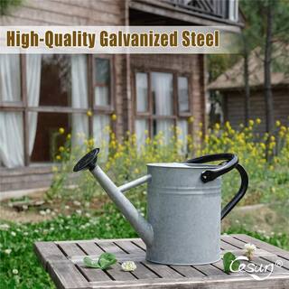 Dyiom Vintage 1 Gal. Rainwater Harvesting System Galvanized Metal Watering Can with Removable Spout B07V9MFQQZ