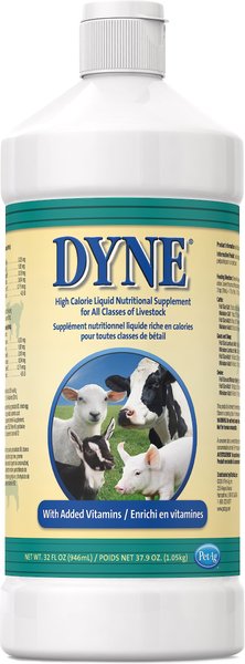 PetAg Dyne High Calorie Liquid Livestock Supplement