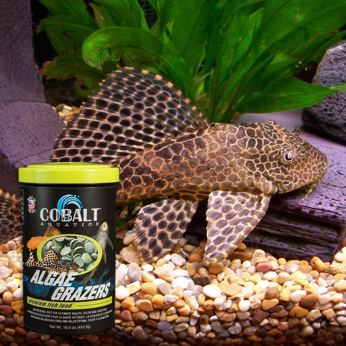 Cobalt Aquatics Algae Grazers Fish Food