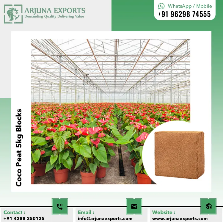 Direct Factory Supply Wholesale price Natural Coco Peat Coir Pith 5kg Block  For Lawns And Landscaping