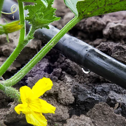 1 hectare factory agriculture drip irrigation system round drip irrigation pipe price