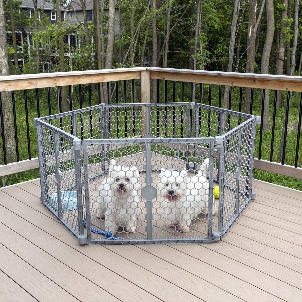 Carlson Pet Products Dog Gate