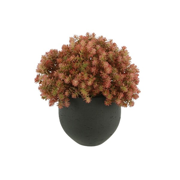 Sedum Arrangement in a Fiberstone Pot