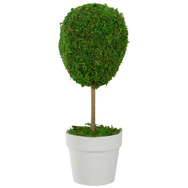 Reindeer Moss Ball Potted Artificial Spring Topiary Tree Green white