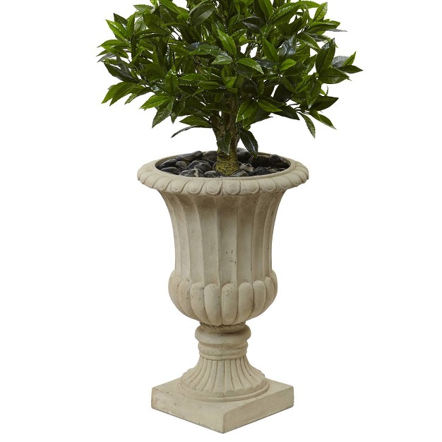 5 5 x27 Triple Bay Leaf Topiary Artificial Tree In Urn Nearly Natural