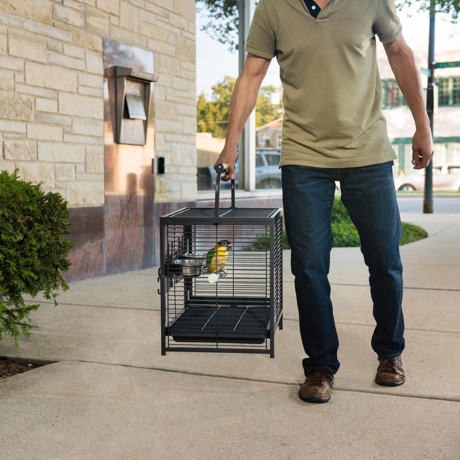 Prevue Pet Products Portable Metal Travel Bird Cage Carrier Cage