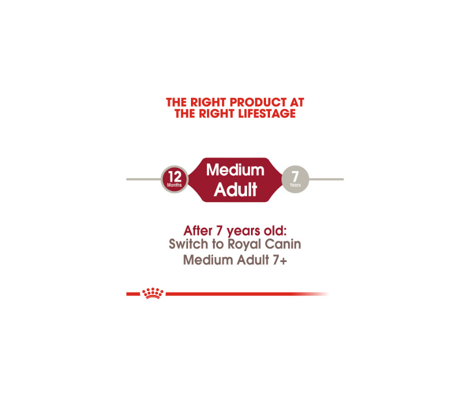 Royal Canin - Medium Adult Dog Dry Dog Food