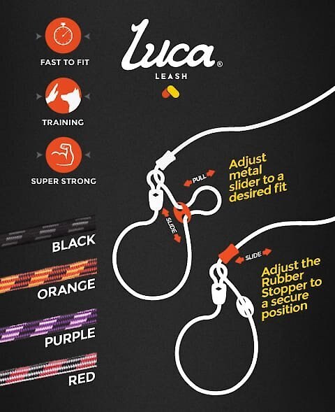 EzyDog Luca All-In-One Dog Slip Collar and Leash