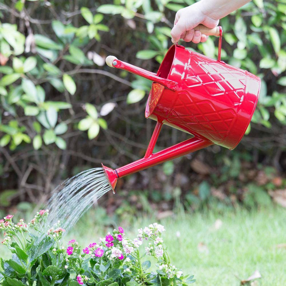 Cubilan 1 Gal. Watering Can Decorative Farmhouse Watering Can Red Watering Can Metal Watering Can with Removable Spout B083DSG87D