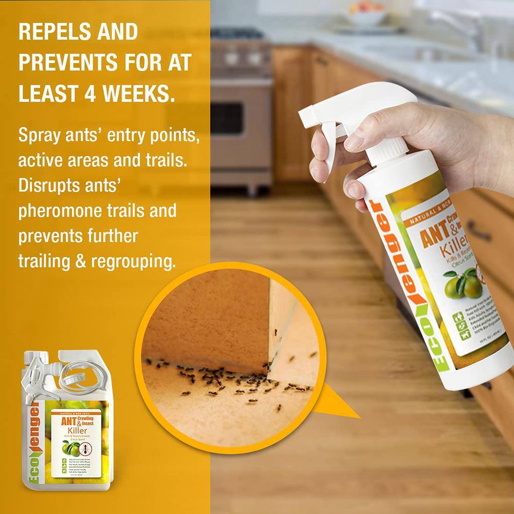 ECOVENGER Ant Insect KillerRepellent by EcoRaider 32OZ Instant Kill 4-Week Deterrence Plant-Based ChildPet-Safe EH1RM50032