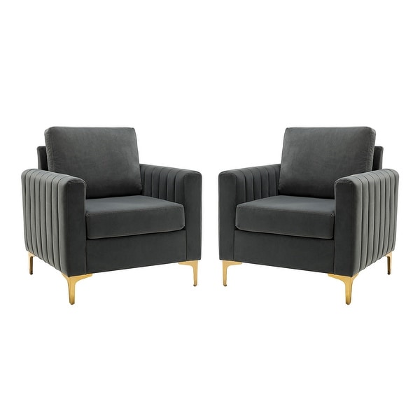 Ganymedes Contemporary Velvet Accent Arm Chair with Golden Legs Set Of 2 by HULALA HOME