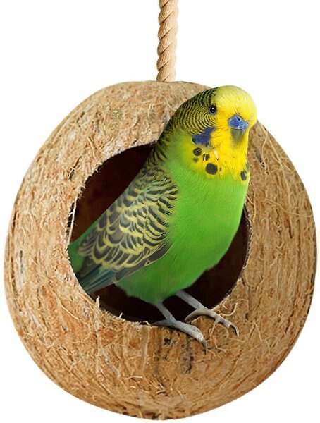 SunGrow Finch and Budgie Coconut Shell Breeding Nest and Seed Storage Bird House