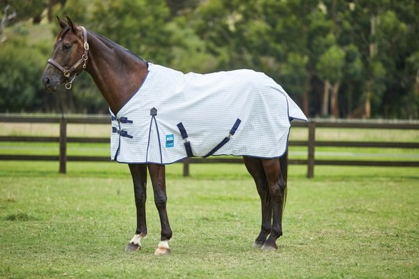 Kool Coat Classic with Surcingles III Standard Neck Horse Blanket