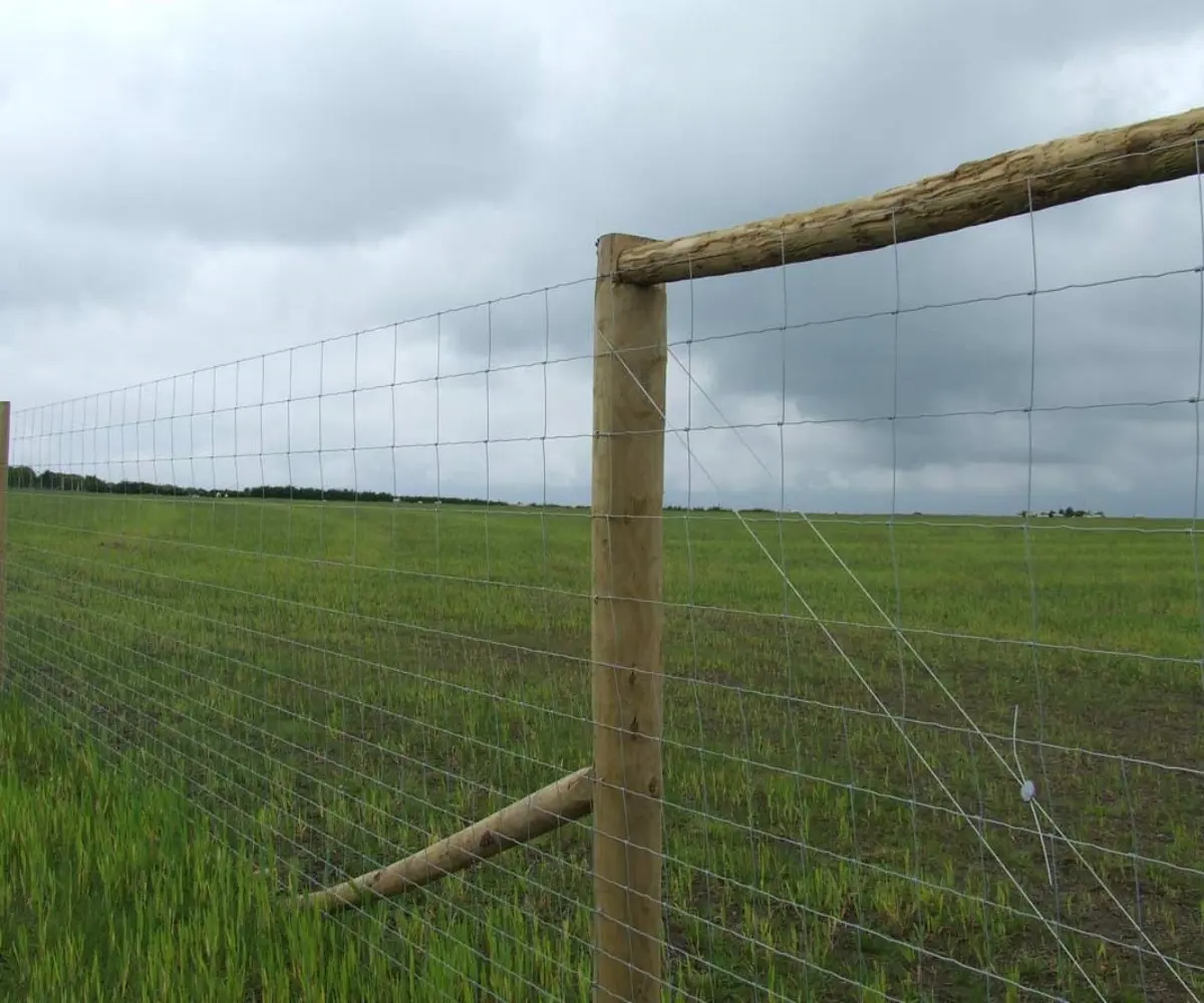 Factory supply field fence mesh for cattle farm