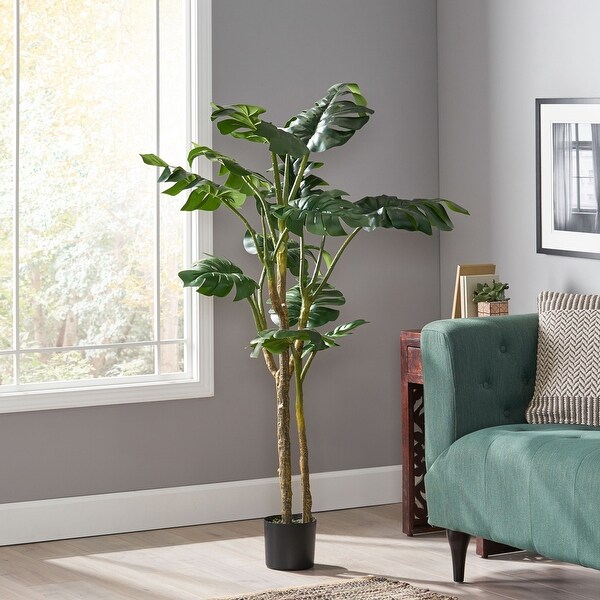 Monstera Tree with Unique Cleft Leaves and Long Branches，Topiary Tree with Realistic Trunk，Live Indoor Plant with Dried Moss