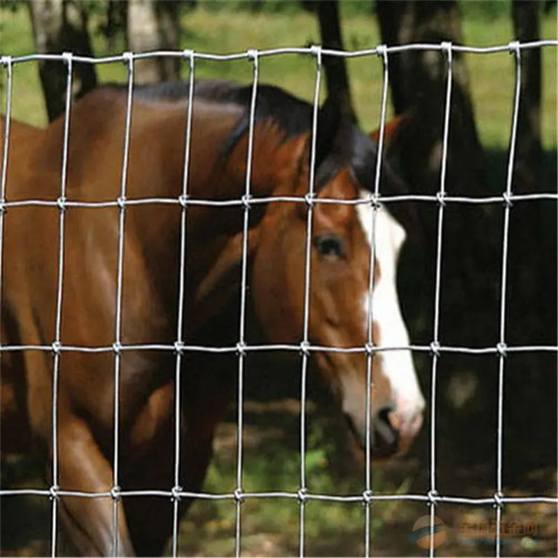 Supply Pasture Cattle Net Galvanized Grassland Net Cheap Farm Fence Horse Pasture Fencing