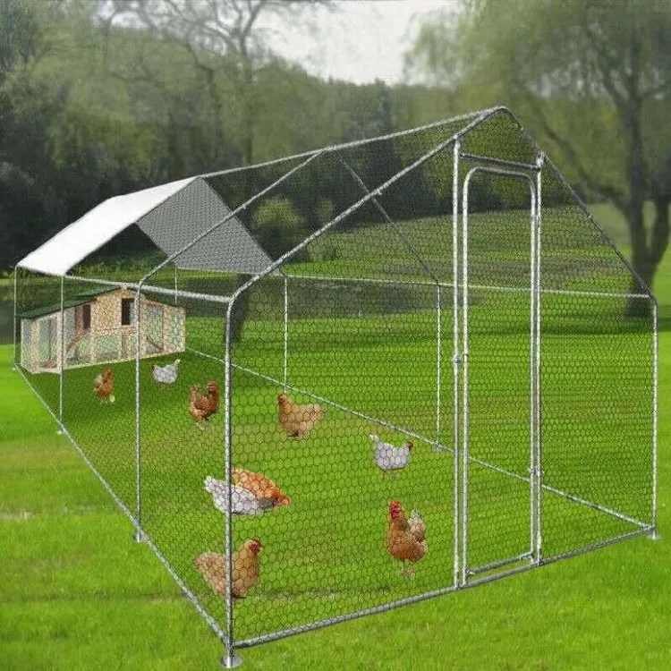 Factory supply  wild outdoor chicken house poultry garden greenhouse