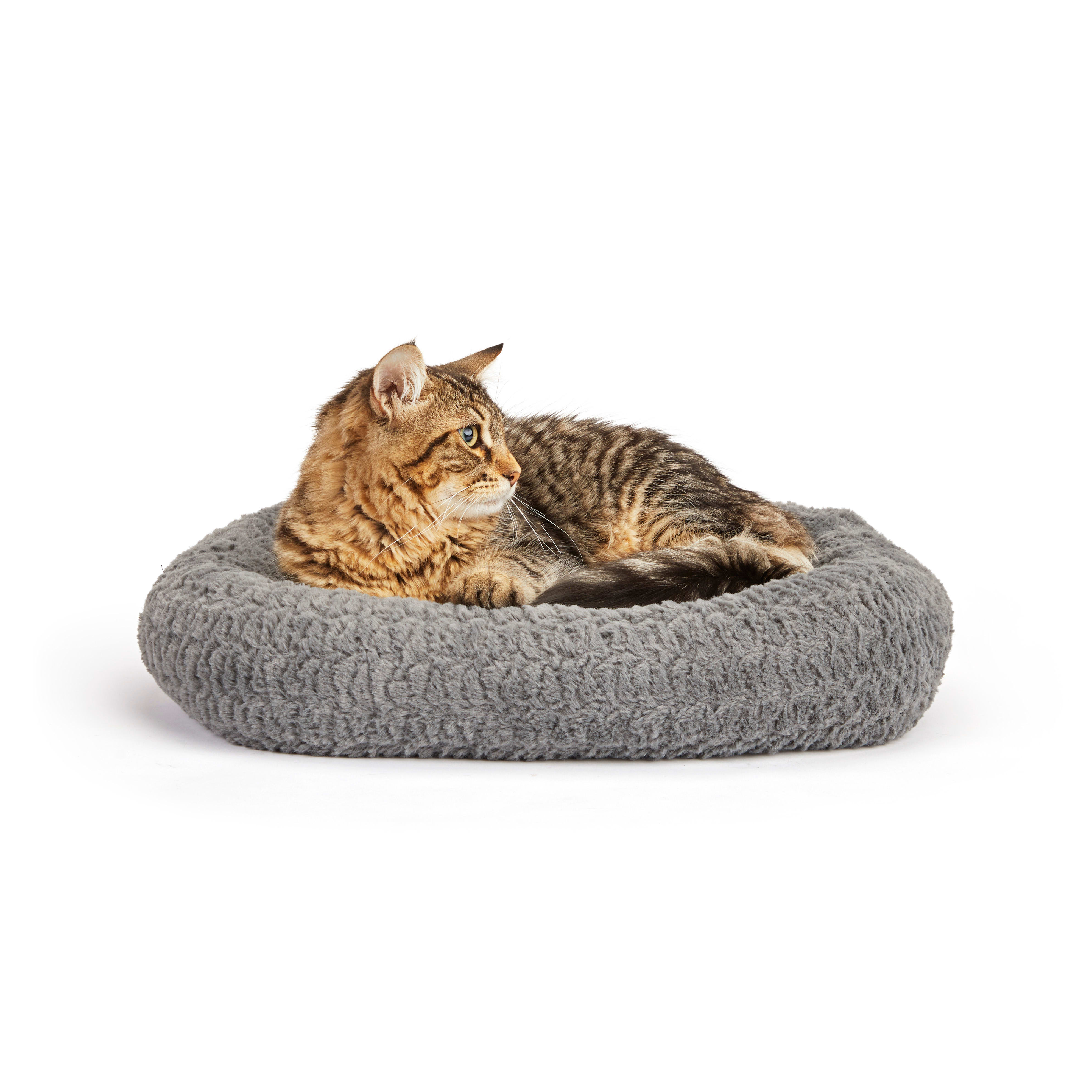 EveryYay Gray Rectangle Snooze Fest Cat Bed， 16