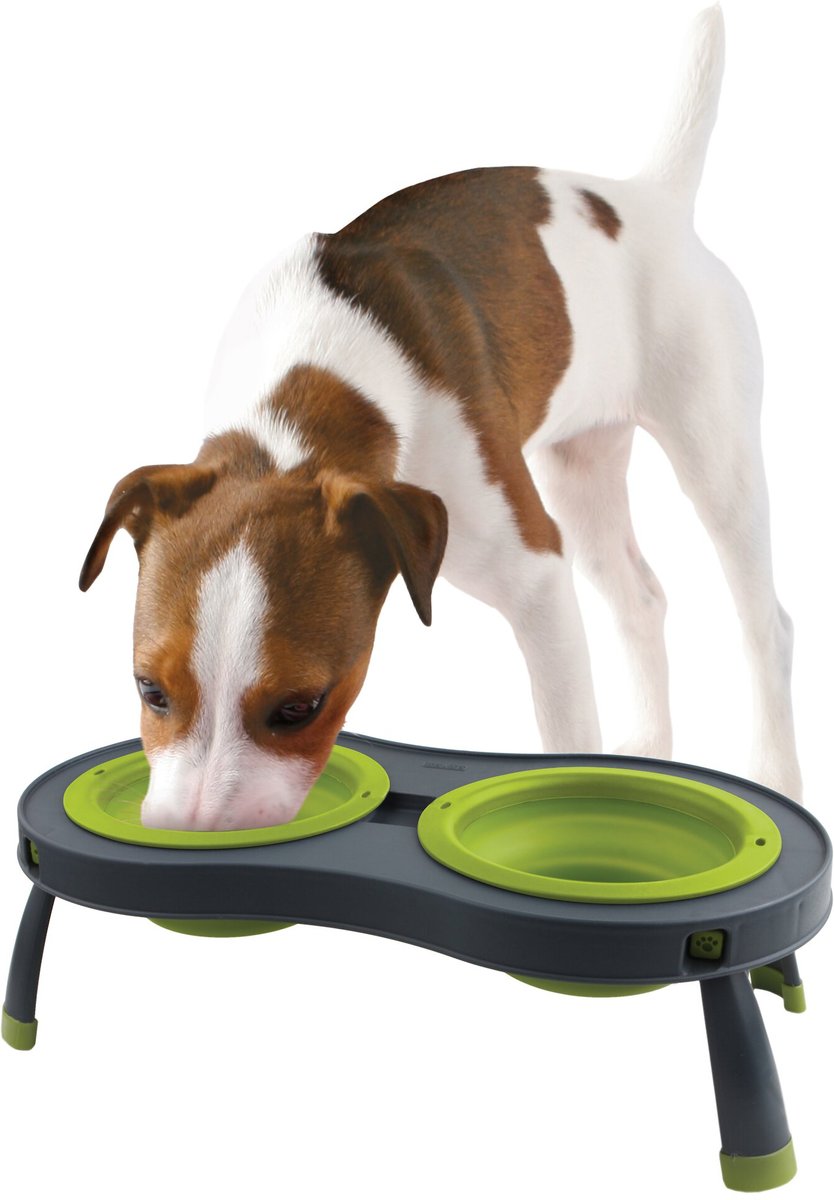 Dexas Popware for Pets Double Elevated Pet Bowls