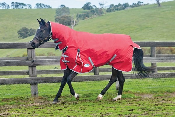 WeatherBeeta Comfitec Classic Combo Neck Heavy Horse Blanket