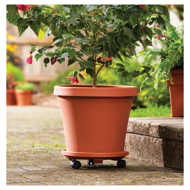 Bloem Terra Pot Planter