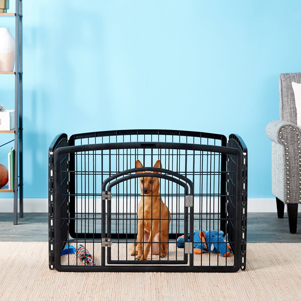 IRIS USA 4-Panel Dog Exercise Playpen with Door