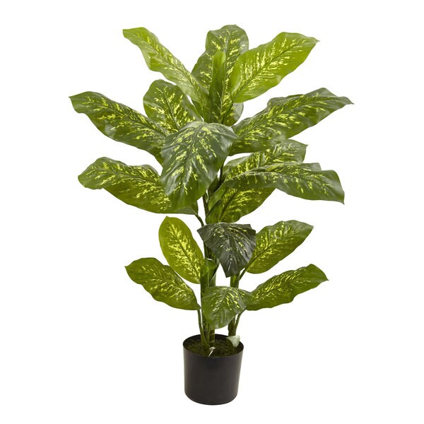 4foot Dieffenbachia Plant (Real Touch)