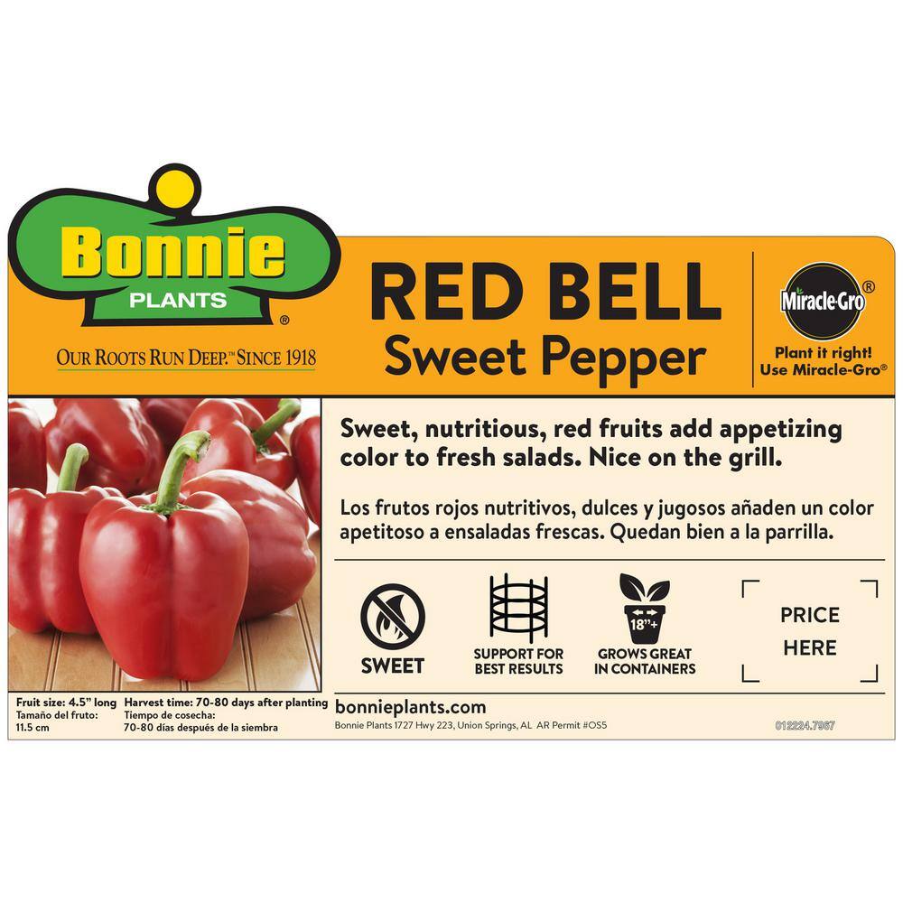 Bonnie Plants 2.32 qt. Red Bell Sweet Pepper Plant 2101