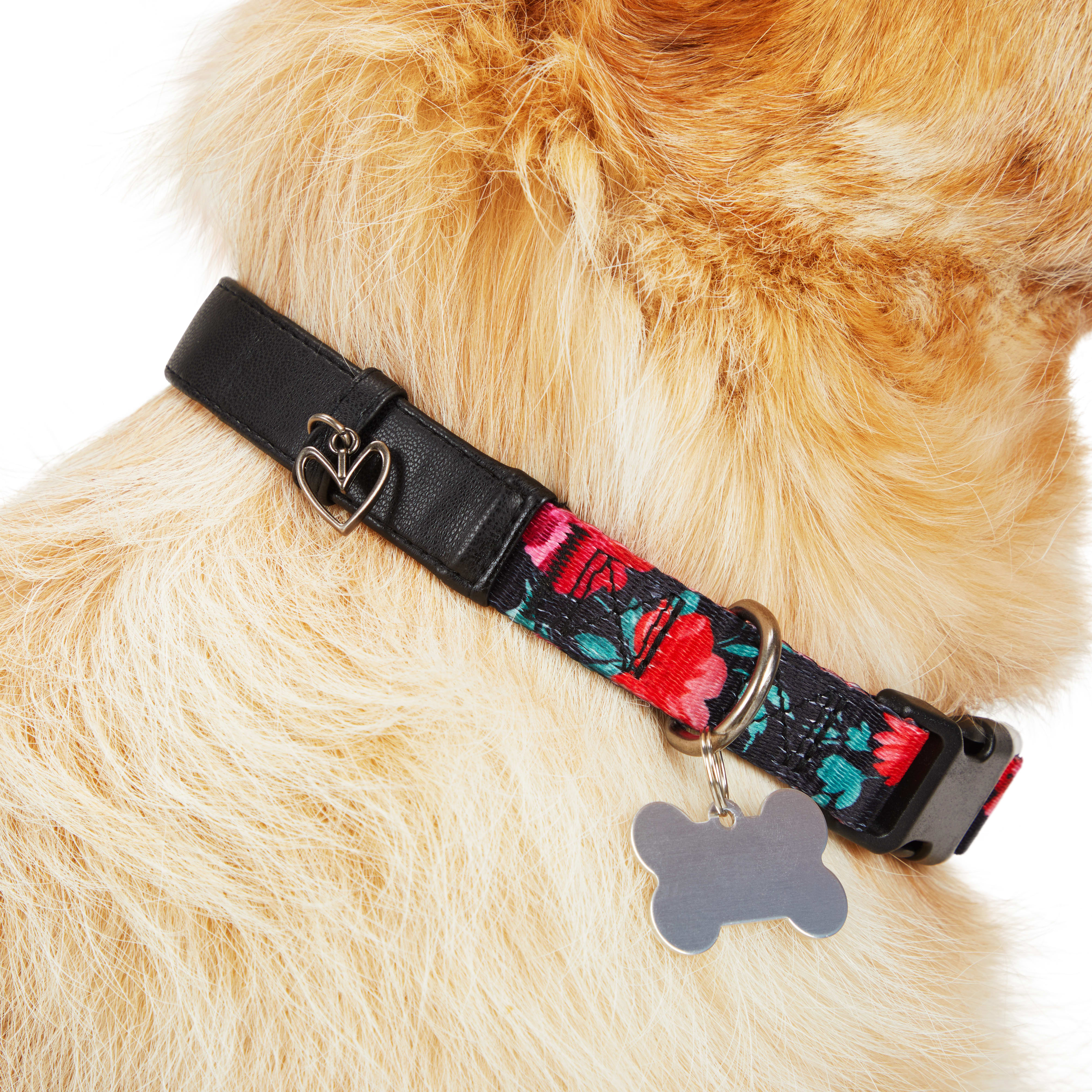 YOULY Heart Charm Fashion Dog Collar， X-Small/Small